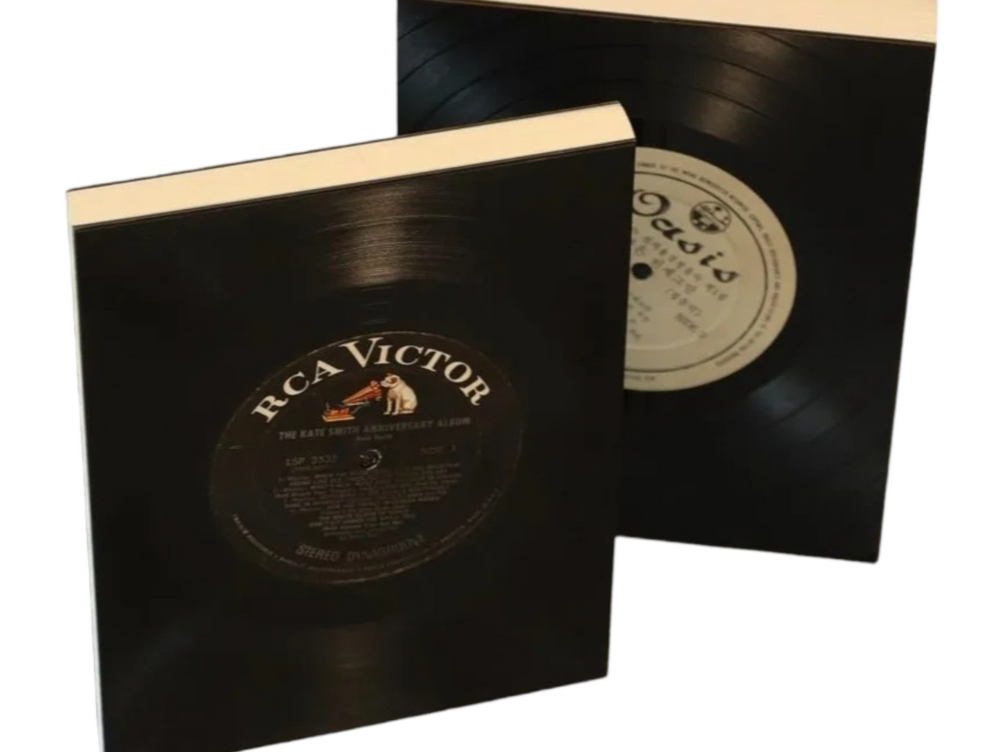 Orom Vinyl Record Notebook